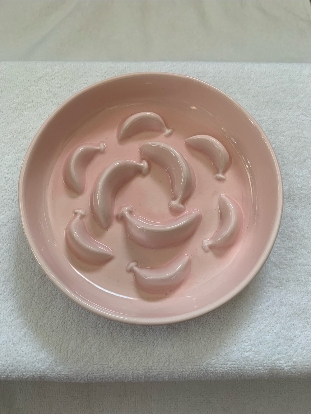 Pet Slow Feeder Bowl
